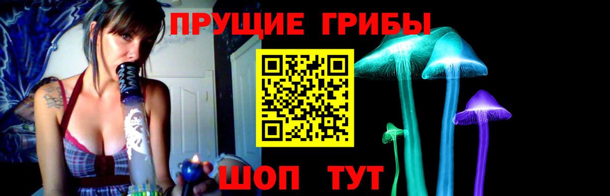 Кызыл  Галлюциногенные грибы GOLDEN TEACHER  Вход с VPN  Галлюциногенные грибы Cubensis 